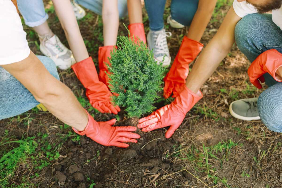 Why Volunteering Is the Ultimate Networking Hack